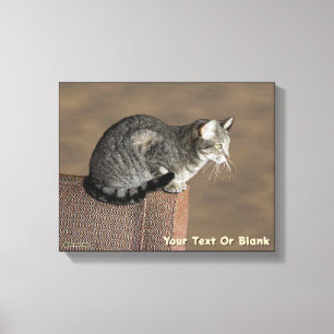 Smoky Grey Tabby Cat Canvas Print