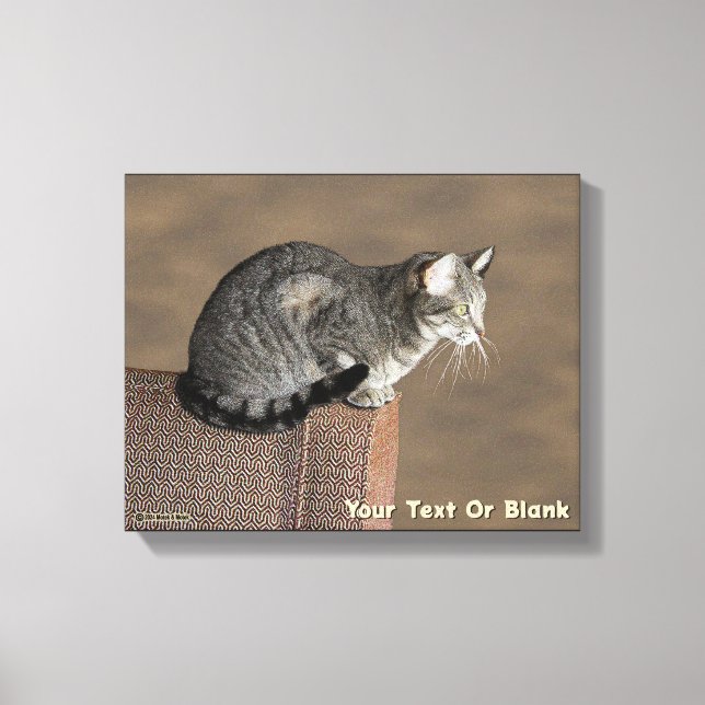 Smoky Grey Tabby Cat Canvas Print (Front)