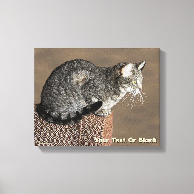 Smoky Grey Tabby Cat Canvas Print (Front)