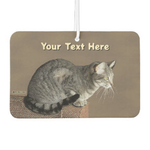 Smoky Grey Tabby Cat Car Air Freshener