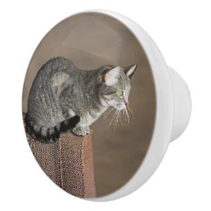 Smoky Grey Tabby Cat Ceramic Knob