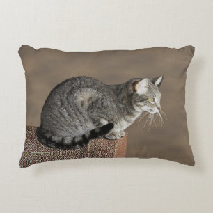 Smoky Grey Tabby Cat Decorative Cushion
