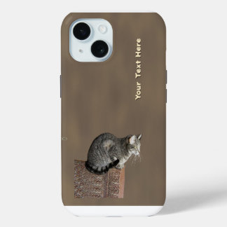 Smoky Grey Tabby Cat iPhone 15 Case