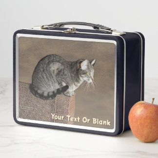 Smoky Grey Tabby Cat Metal Lunch Box