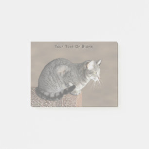 Smoky Grey Tabby Cat Post-it Notes