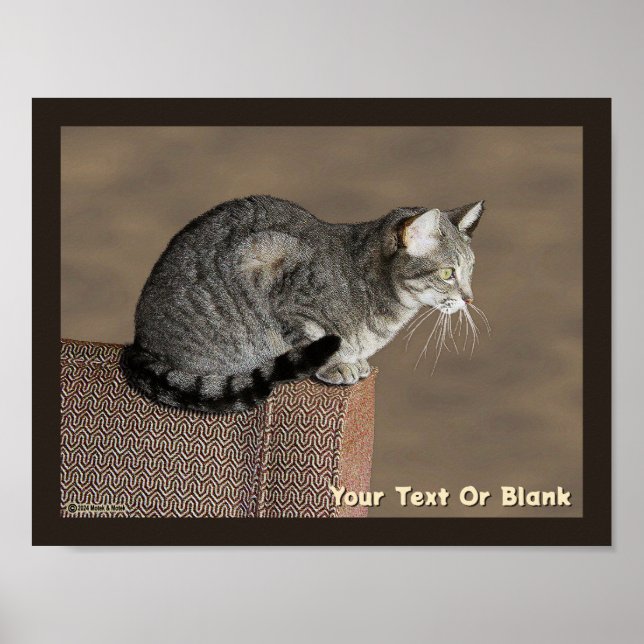 Smoky Grey Tabby Cat Poster (Front)