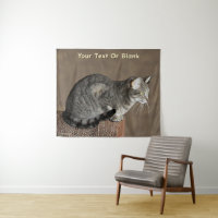 Smoky Grey Tabby Cat