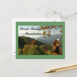 Smoky Mountain Black Bear Postcard