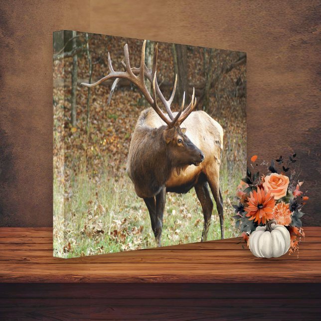 Smoky Mountain Elk  Canvas (Creator Uploaded)