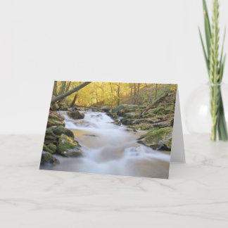 Smoky Mountain Stream Card