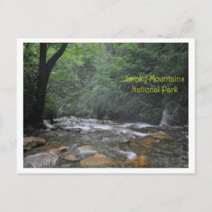 Smoky Mountain Stream Postcard