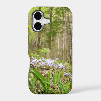 Smoky Mountain Trail in Spring