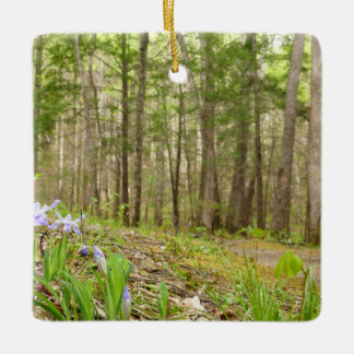 Smoky Mountain Trail in Spring Ceramic Ornament