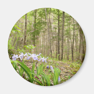 Smoky Mountain Trail in Spring Magnet