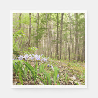 Smoky Mountain Trail in Spring Napkin
