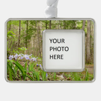 Smoky Mountain Trail in Spring Silver Plated Framed Ornament