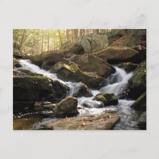 Smoky Mountain Waterfall II Postcard (Front)