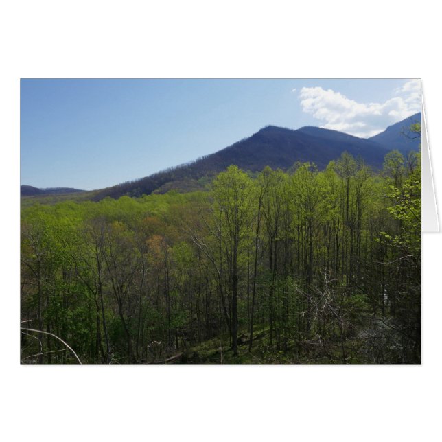 Smoky Mountains in Spring Landscape (Front Horizontal)