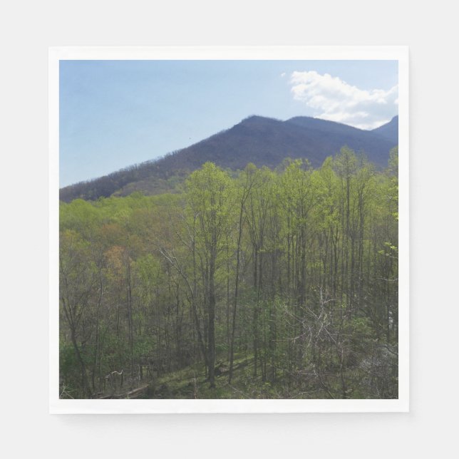 Smoky Mountains in Spring Landscape Napkin (Front)