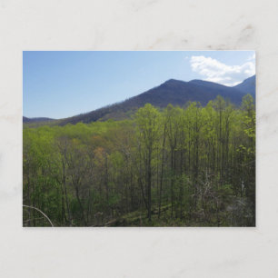 Smoky Mountains in Spring Landscape Postcard