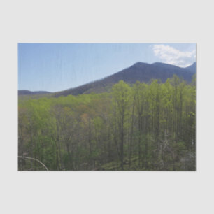 Smoky Mountains in Spring Landscape Tissue Paper