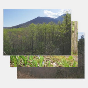 Smoky Mountains in Spring Landscape Wrapping Paper Sheet