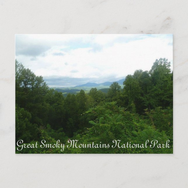 Smoky Mountains Postcard (Front)