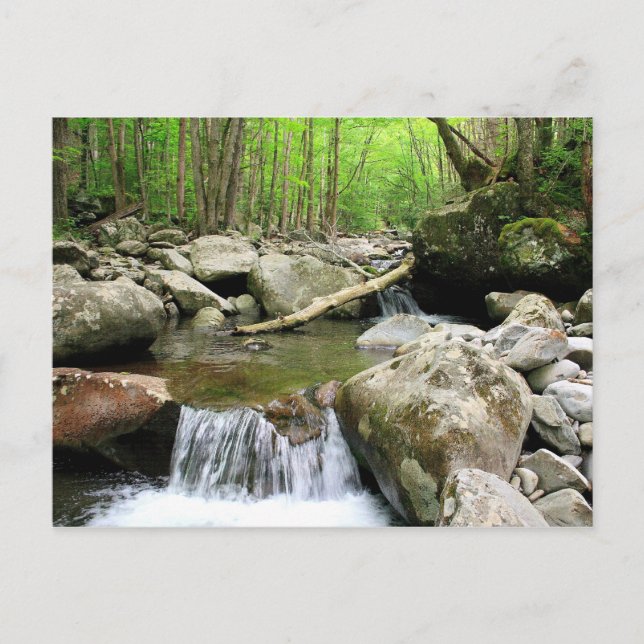 Smoky Mountains Postcard (Front)