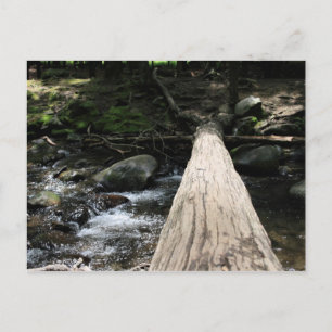 Smoky Mountains Postcard
