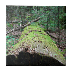 Smoky Mountains Tile