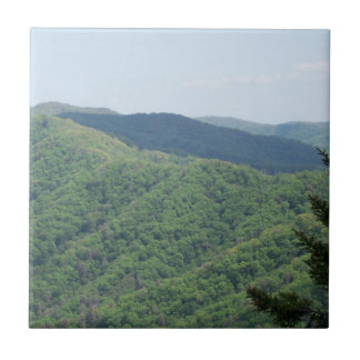 Smoky Mountains Trivet Tile 1