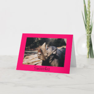 Smooches Card