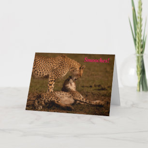 Smooches — Cheetah Valentine Holiday Card