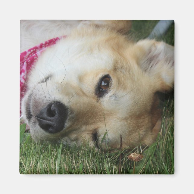 Smoochie Magnet (Front)