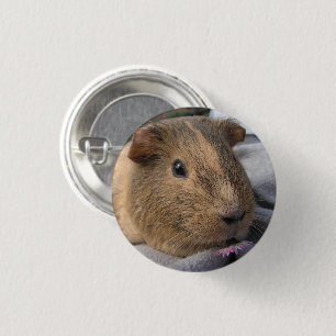 Smooth, Agouti Guinea Pig and Flower 3 Cm Round Badge