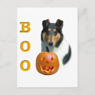Smooth Collie Boo  Postcard