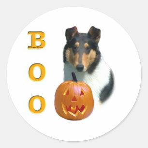 Smooth Collie Boo  - Sticker