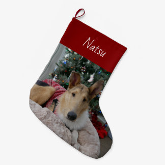 Smooth Collie Christmas Stocking