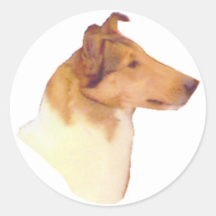 Smooth Collie Gifts Classic Round Sticker