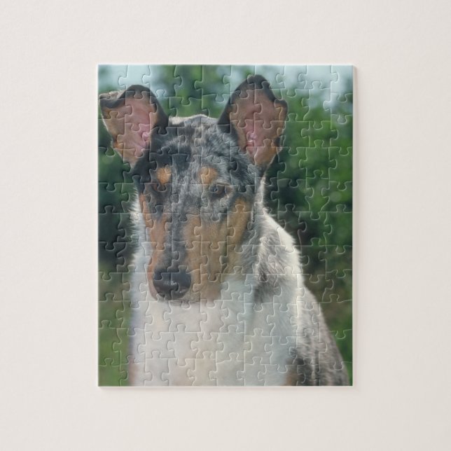 Smooth Collie Merle Dog Puzzle (Vertical)