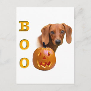 Smooth Dachshund Boo Postcard