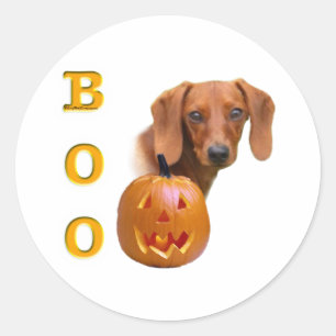 Smooth Dachshund Boo - Sticker