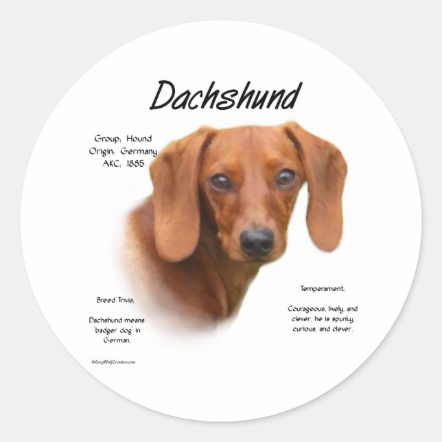 Smooth Dachshund Meet the Breed - Customised Classic Round Sticker (Front)