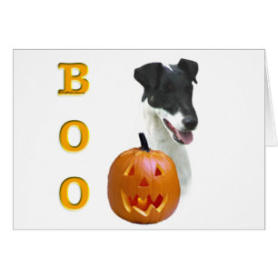 Smooth Fox Terrier Boo