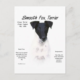 Smooth Fox Terrier History Design Postcard