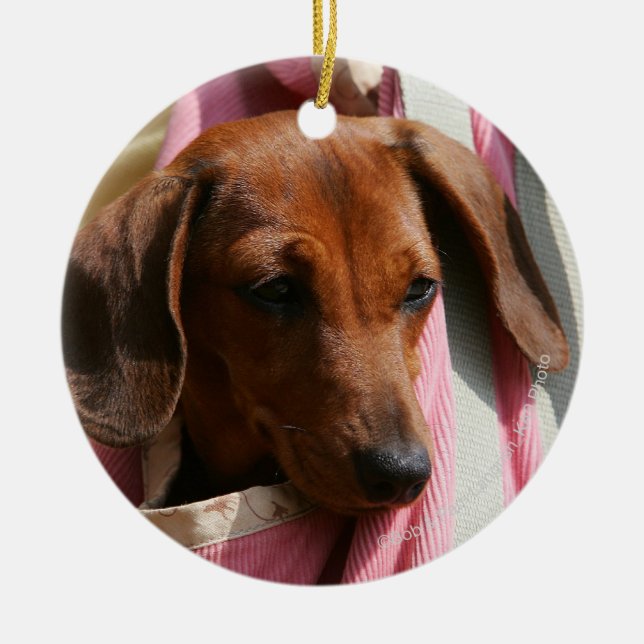 Smooth-haired Miniature Dachshund Puppy Ceramic Tree Decoration (Front)