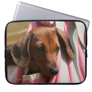 Smooth-haired Miniature Dachshund Puppy Laptop Sleeve