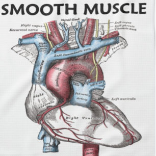 Smooth Muscle Inside (Grey's Anatomy Heart) Tea Towel