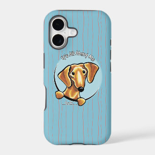 Smooth Red Dachshund IAAM