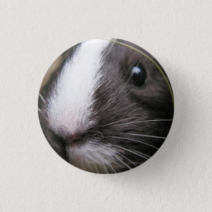 Smooth, Short Hair, Black and White Guinea Pig 3 Cm Round Badge